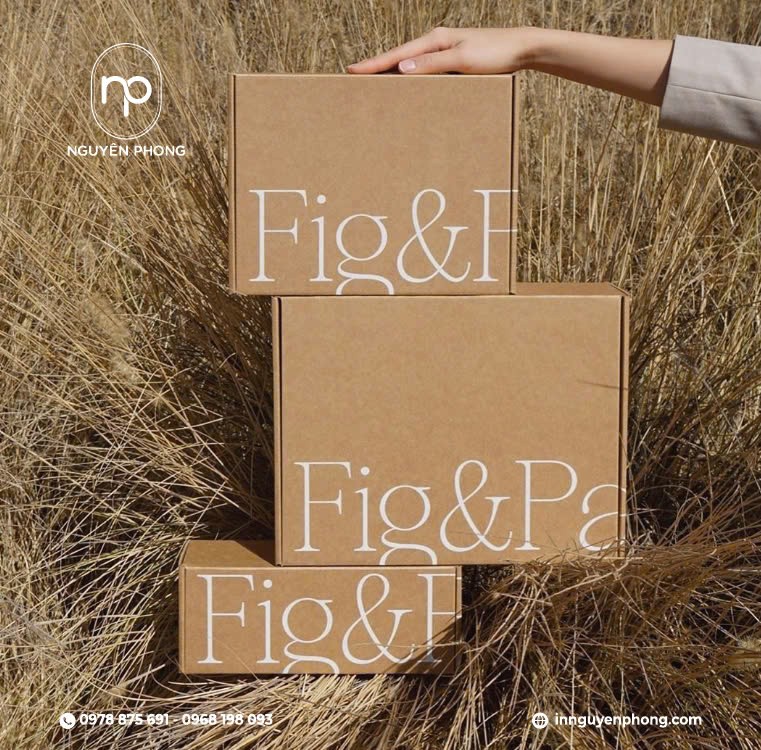 Carton sóng E: Đóng gói thông minh - Vận chuyển tiết kiệm